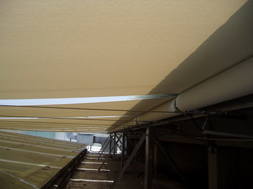 늄�FTS���ﺟ