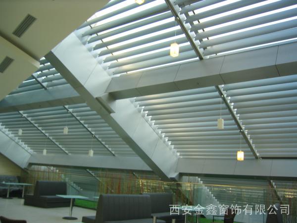 ������l�T��