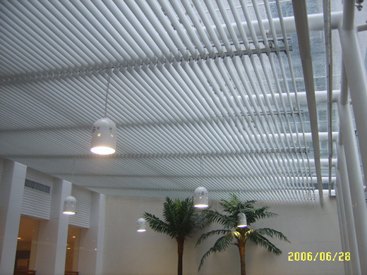 �п����ΰ��~